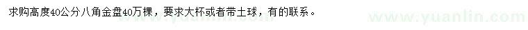 求購高度40公分八角金盤
