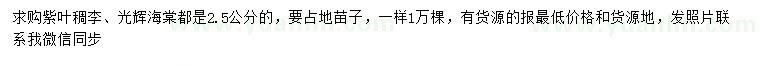 求購2.5公分紫葉稠李、光輝海棠