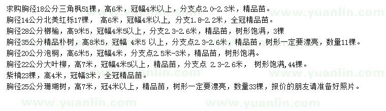 求購三角楓、北美紅櫟、榔榆等