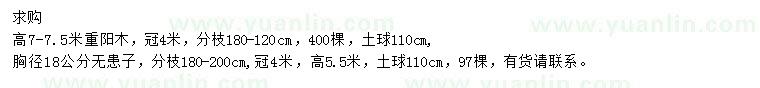 求購高7-7.5米重陽木、胸徑18公分無患子