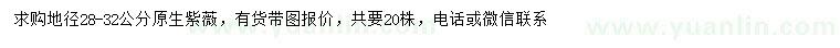 求購地徑28-32公分原生紫薇