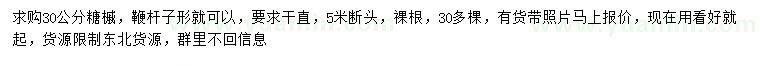 求購30公分糖槭