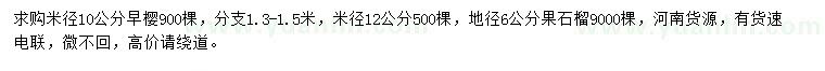 求購米徑10、12公分早櫻、6公分果石榴