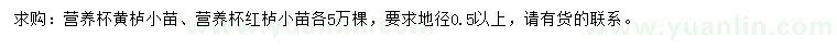 求購(gòu)地徑0.5公分以上黃櫨小苗、紅櫨小苗