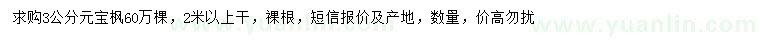 求購3公分元寶楓