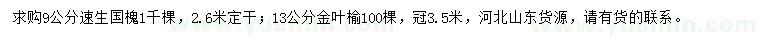 求購9公分速生國槐、13公分金葉榆