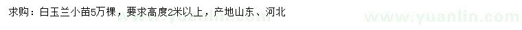求購高度2米以上白玉蘭小苗5萬棵