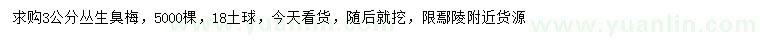 求購3公分叢生臭梅