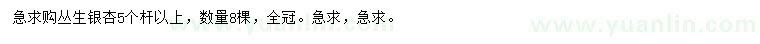 求購(gòu)5桿以上叢生銀杏