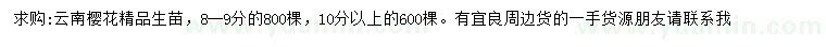 求購8-9公分、10公分以上云南櫻花精品生苗
