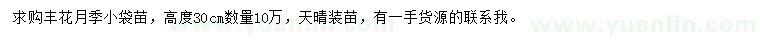 求購高度30公分豐花月季小苗