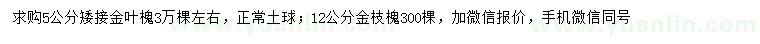 求購5公分矮接金葉槐、12公分金枝槐