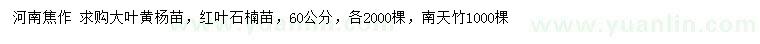 求購大葉黃楊小苗、紅葉石楠小苗、南天竹