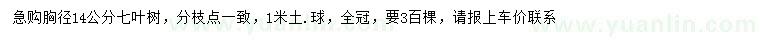 求購胸徑14公分七葉樹