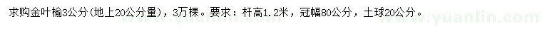 求購20量3公分金葉榆