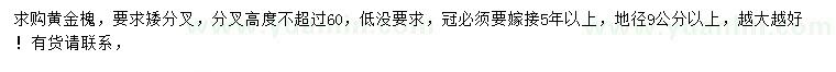求購地徑9公分以上黃金槐