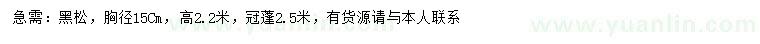 求購(gòu)胸徑15公分黑松