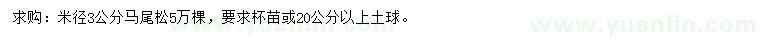 求購米徑3公分馬尾松