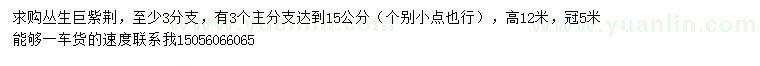 求購高12米叢生巨紫荊
