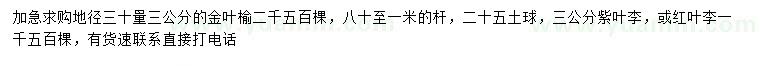 求購(gòu)金葉榆、紫葉李、紅葉李