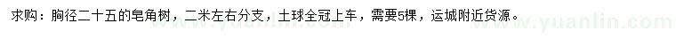 求購(gòu)胸徑25公分皂角樹(shù)