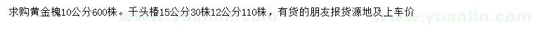 求購10公分黃金槐、15公分千頭椿