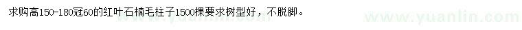 求購高180公分紅葉石楠毛柱子