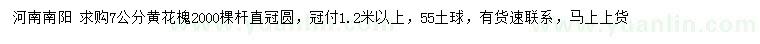 求購(gòu)7公分黃花槐
