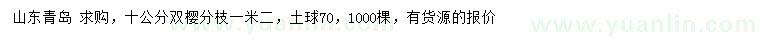 求購(gòu)10公分雙櫻
