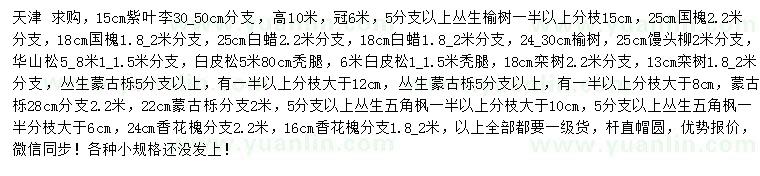 求購紫葉李、叢生榆樹、國槐等