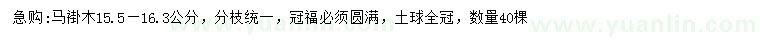 求購15.5-16.3公分馬褂木