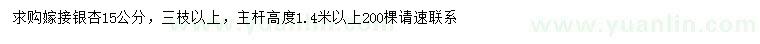 求購(gòu)15公分嫁接銀杏