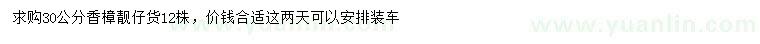 求購30公分香樟