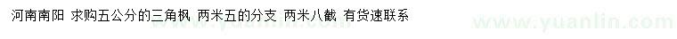 求購(gòu)5公分三角楓