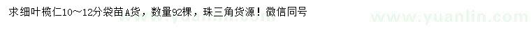 求購10-12公分細(xì)葉欖仁