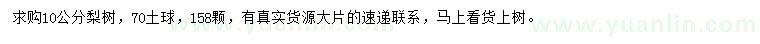 求購(gòu)10公分梨樹