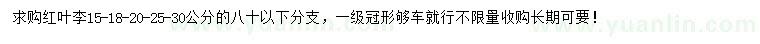 求購15、18、20、25、30公分紅葉李