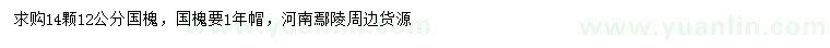 求購12公分國槐
