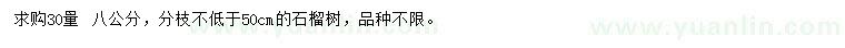 求購30量8公分石榴樹