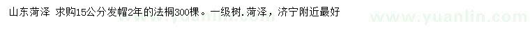 求購(gòu)15公分法桐