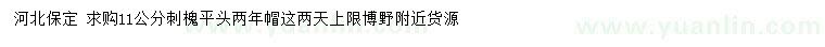 求購(gòu)11公分刺槐