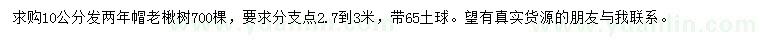 求購10公分老楸樹