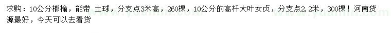 求購10公分榔榆、高桿大葉女貞