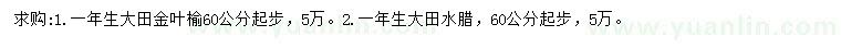 求購(gòu)60公分以上大田金葉榆、水蠟