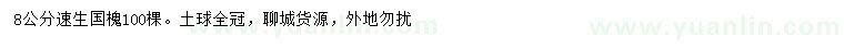 求購8公分速生國槐