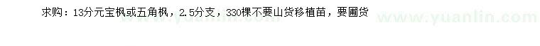 求購13分元寶楓或五角楓