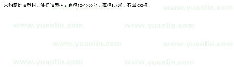 求購直徑10-12公分黑松、油松造型樹