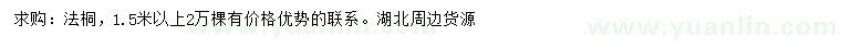 求購高1.5米以上法國冬青