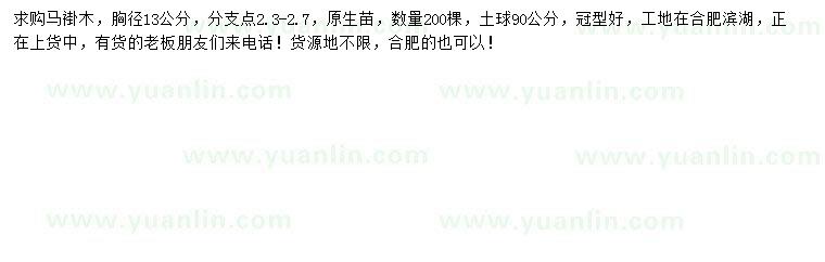 求購(gòu)胸徑13公分馬褂木