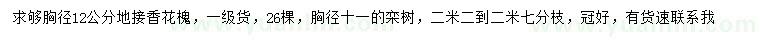 求購胸徑12公分地接香花槐、11公分欒樹